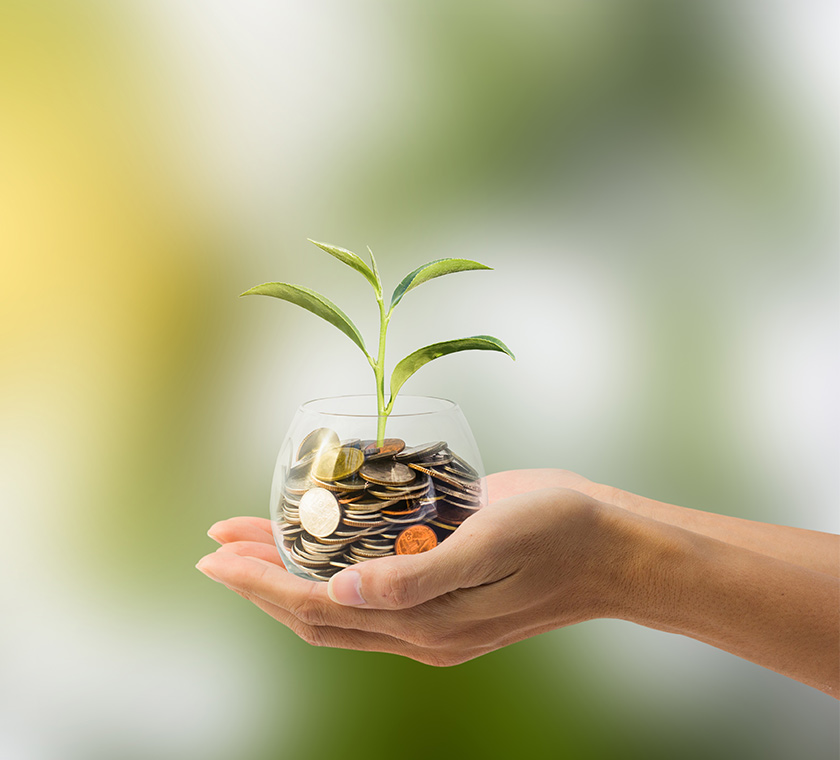 close up of hands holding glass jar full of coins with a plant growing out of them safest place for retirement money