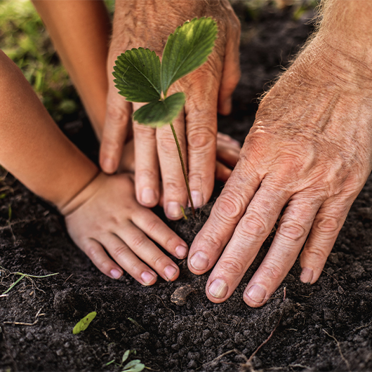 senior hands with grandkids hands planting benefits of annuities florida